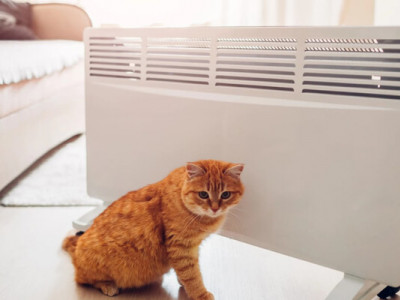 Чому навчить нас Швеція?