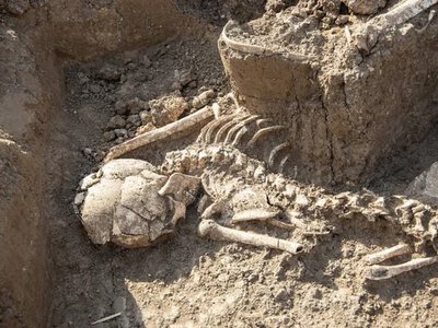 Сифіліс має американське походження: у Колумбії знайшли найдавніші сліди збудника