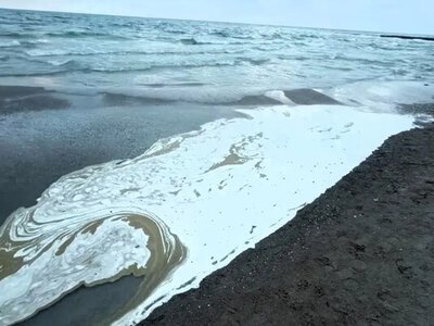 Еколог заявив, що пляжний сезон в Одесі може зірватись через забруднення моря