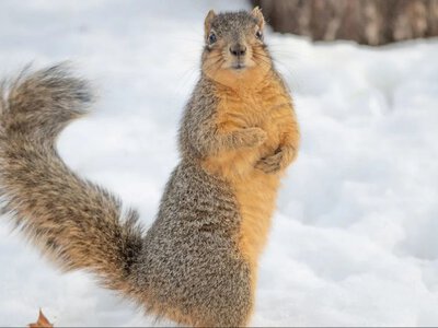 Де плюс? Синоптики розповіли, якою буде погода цього тижня