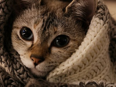 Ці три засоби швидко допоможуть зігрітися, коли вдома холодно