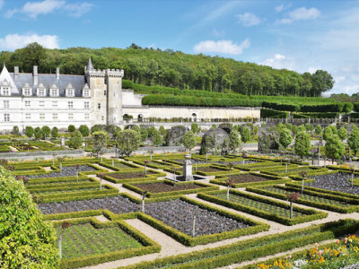 У долині Луари замок Вілландрі приваблює відвідувачів традиційними садами (ФОТО)