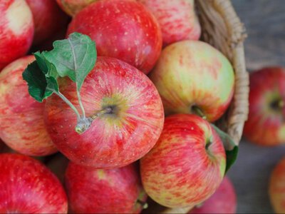 Чому звичні українські яблука стають дорожчими за екзотику