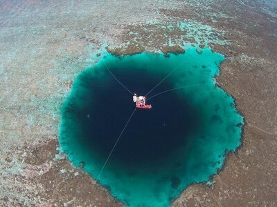 Вчені виявили життя в «Драконовій дірі» Південно-Китайського моря
