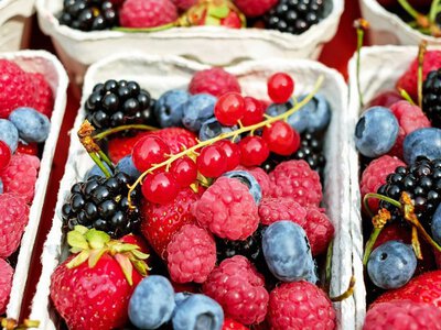 Заробити на ягодах: скільки коштує вирощувати суперфуди в Україні