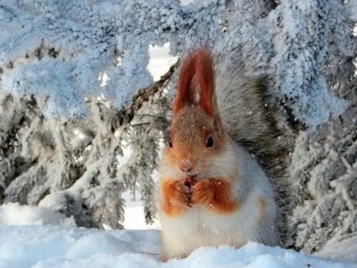 Якою буде погода у лютому