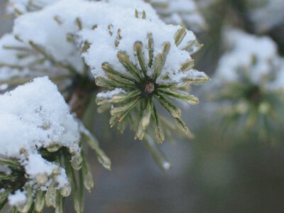 Дві різкі погодні зміни. Чи стане тепліше і що до України йде зі Скандинавії