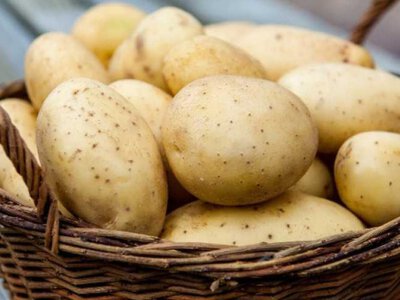 Дорожчає базовий овоч: українці знову відчують це в гаманцях