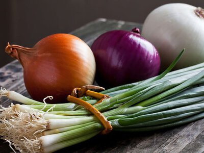 Чому гниє цибуля і як цього уникнути: секрети правильної сушки та зберігання