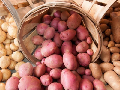 Ціни на картоплю в Україні зростають: скільки тепер коштує кілограм