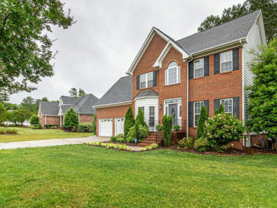 Ці рослини не можна садити біля дому: через них тріскає фундамент і тротуар