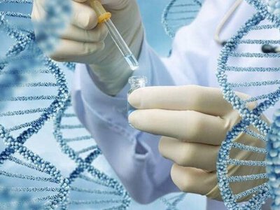 ДНК аналіз виявив найдавніший генетичний діагноз в історії