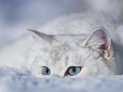 Прогноз погоди в Україні на вихідні - новини України