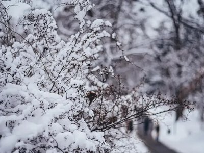 Україна готується до нового різкого похолодання: якою буде погода у перший день лютого