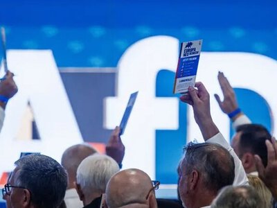 «Альтернатива для Німеччини» більше не лідер в опитуваннях