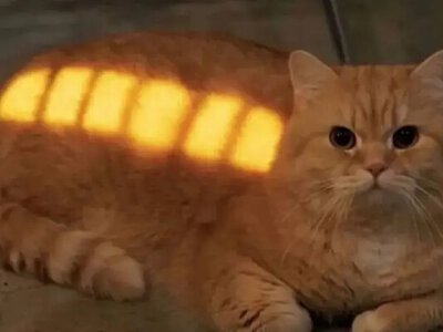 Одеський гумор: коли за вікном «мінус», а вдома заряджений навіть кіт