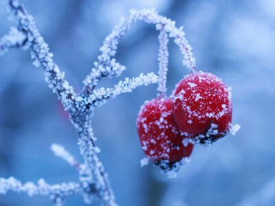 До -29 та різке потепління: детальний прогноз погоди в Україні на тиждень