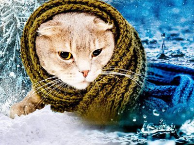 Коли тріскучі морози в Україні підуть на спад: синоптик назвав точну дату