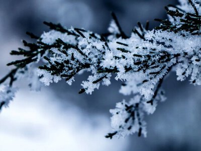 Аномальні морози відступають: синоптики назвали дату відлиги в Україні 