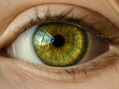 Безоплатне відновлення зору у трьох містах України: хто має право?