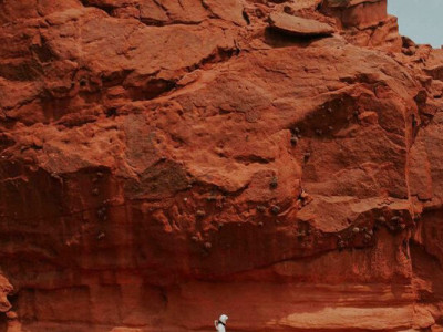 Дослідники пояснили, за яких умов можлива колонія на Марсі