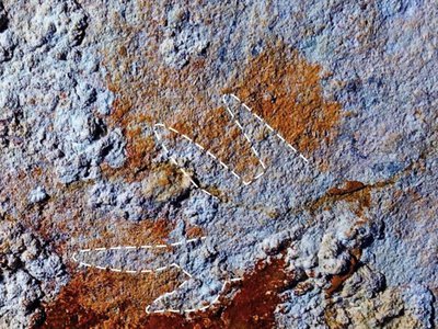 Вицвіла долоня з кам’яного віку: археологи зробили сенсаційну знахідку в Індонезії