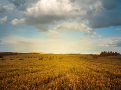 Для земель встановили коефіцієнт індексації нормативної грошової оцінки за 2025 рік