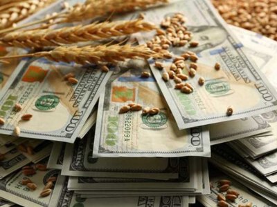 Пшениця знову дорожчає: несподіваний стрибок після затишшя