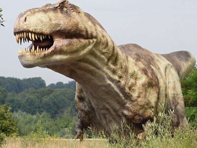 Яке м'ясо динозавра на смак: вчені дали несподівану відповідь