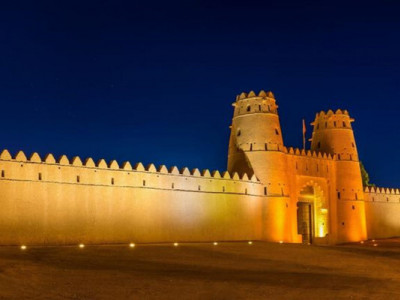 Греко-римська боротьба та тхеквандо: запорізькі спортсмени вдало виступили в Ужгороді та у Фуджейрі в ОАЕ