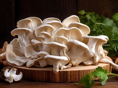 Учені назвали продукт, який знижує рівень холестерину