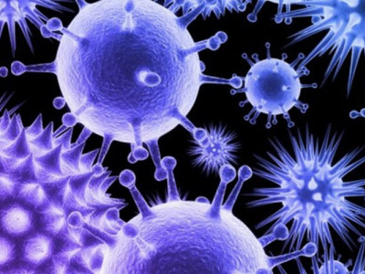 Спалах вірусу тіпа знову викликає занепокоєння