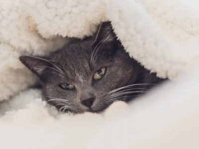 Остання ніч лютої холоднечі: Наталка Діденко назвала дату, коли морози нарешті відступлять 