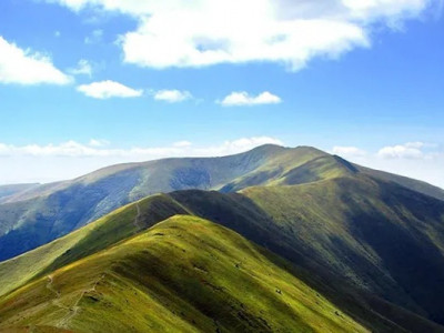 АРМА скасувало торги, за якими продало землю Льовочкіну