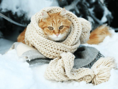 Затяжні морози йдуть із української землі, – чекаємо, коли з неї підуть окупанти