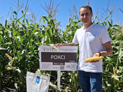 Польові випробування кукурудзи: нові гібриди дають більше