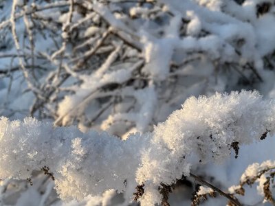 Січень 2026 року став для Європи найхолоднішим за 15 років, але і одним з найтепліших в історії