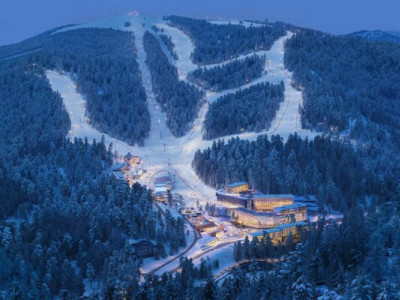 Львівська облрада віддає 176 га лісу для курорту власника OKKO