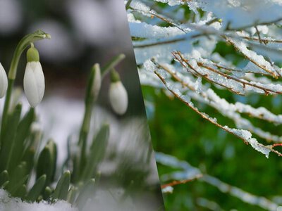 Якою може бути погода весною: синоптик розповів, яких умов чекати в Україні