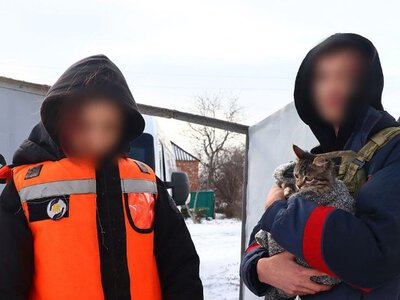 Місто під тиском війни: історія чергової евакуації