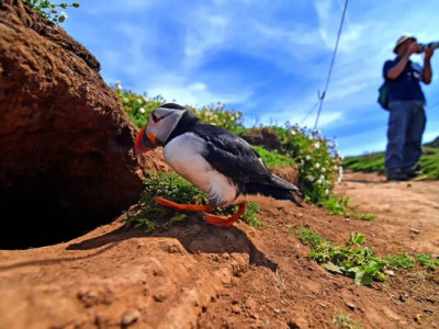 Без готелів і цивілізації: волонтерів запрошують на дикий острів Скомер
