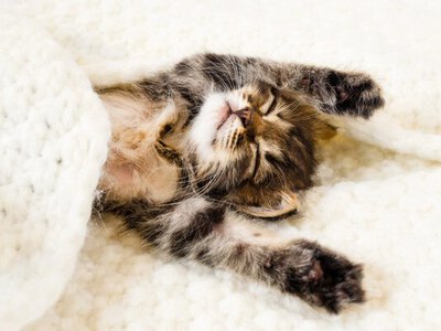 Як виспатися за півтори години: поради сомнолога для здорового сну 