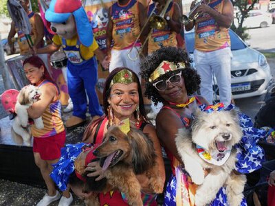 Власники з собаками протестували проти жорстокого поводження з тваринами на карнавалі в Ріо (ВІДЕО)