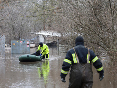 У Кропивницькому затопило два притулки для тварин: що відомо та як допомогти