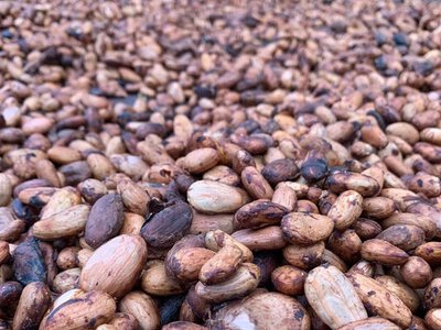 Ціна на шоколад почне знижуватися через падіння ф'ючерсів на какао