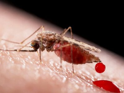 На Львівщині дві жінки захворіли на смертельну хворобу після відпочинку