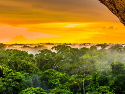 У дощових лісах Амазонії набирає сили «Норвегія на стероїдах»