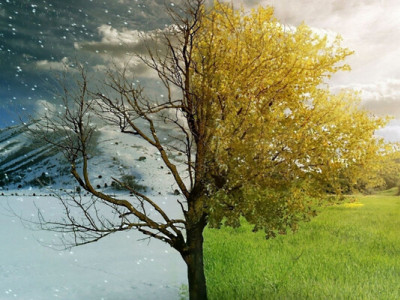 Як плавно перейти від зими до весни: 12 практичних кроків для тіла, дому та настрою