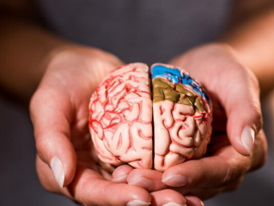 Що пити для здоров`я мозку: дієтологи порекомендували чай №1