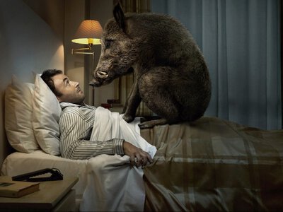 Неймовірний феномен: вчені назвали 6 снів, які найчастіше сняться людям